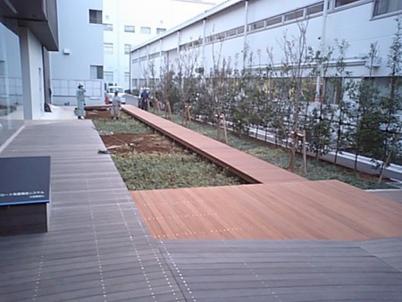 企業内中庭